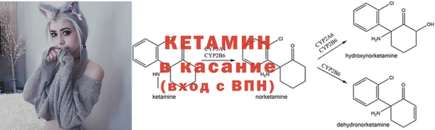 хмурый Зеленокумск